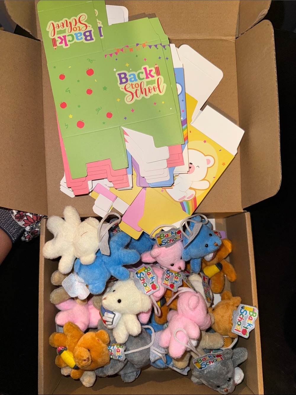 Back to School Plush Bear Keychain Set - Assorted Colors